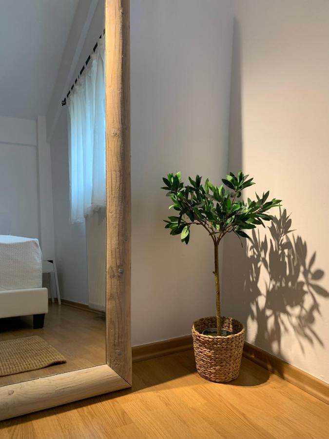 Casa Brucie - New Stylish Apartment In Corfu! Kanálion 外观 照片